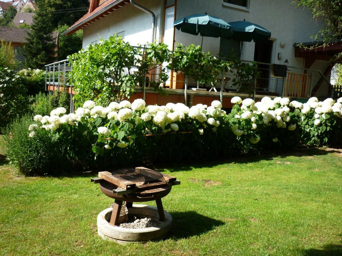 Haus Am Sandsteinbruch Zaberfeld Exterior photo